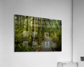Tranquil Path Acrylic Print