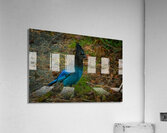 StellarJay Acrylic Print