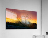 Beach Sunset Acrylic Print