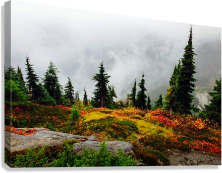 Misty Autumn Canvas Print