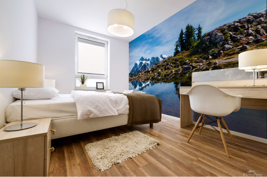 BLue Mt Shusksan Reflection Mural print