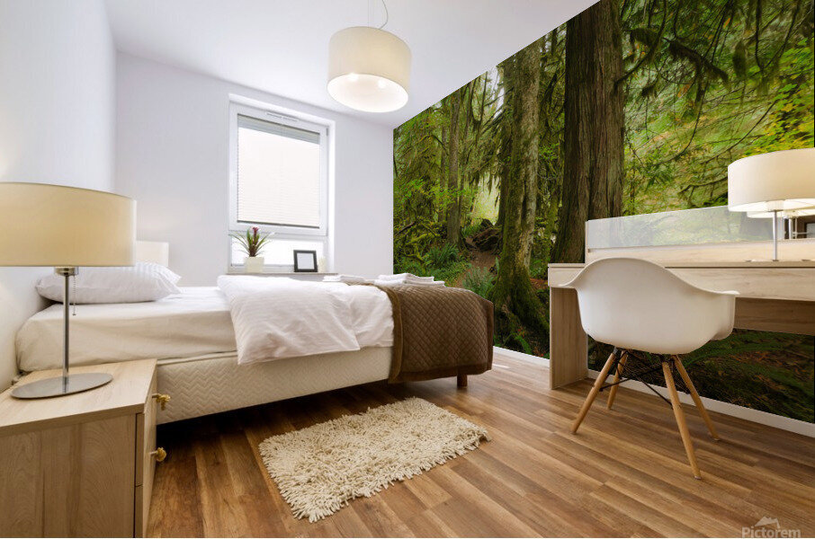 Forest Trail Mural print