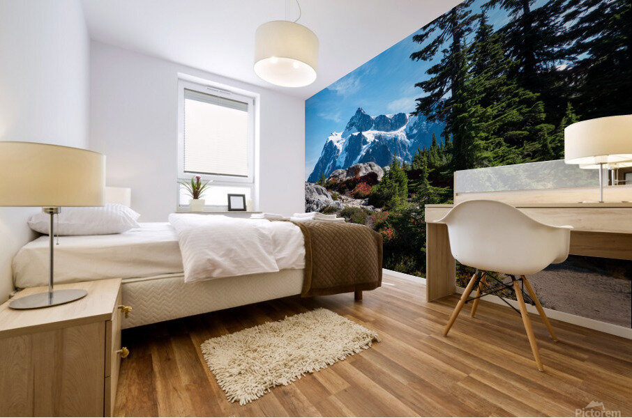 Mt Shuksan Mural print