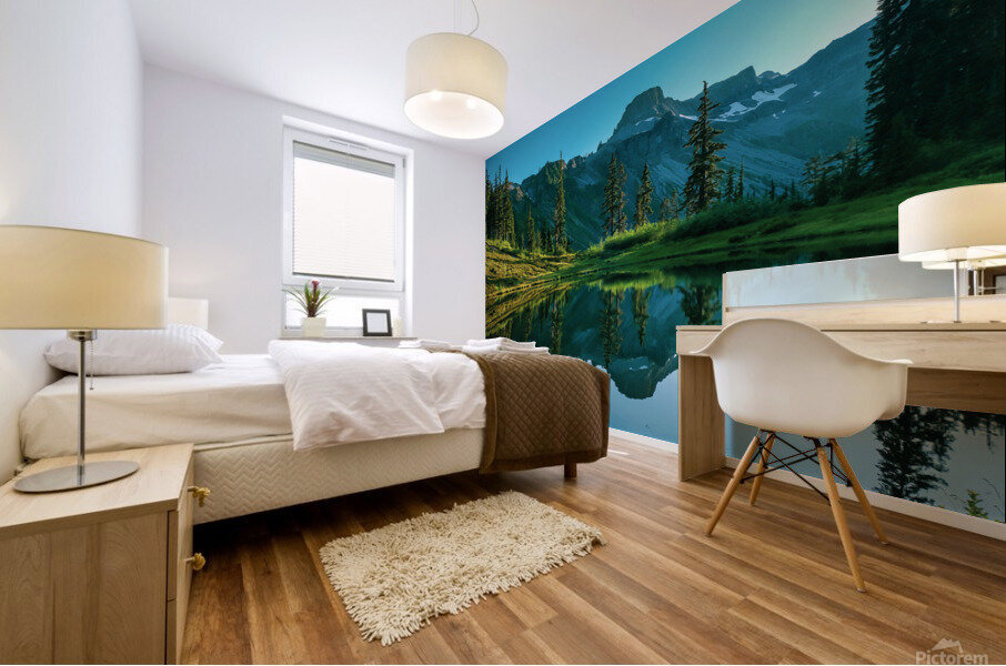 Table Mountain Reflections Mural print