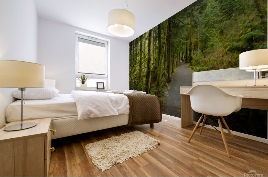 Tranquil Path Mural print