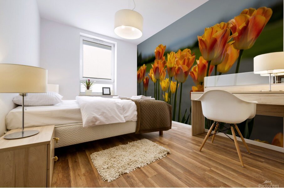 Glorious Tulips Mural print