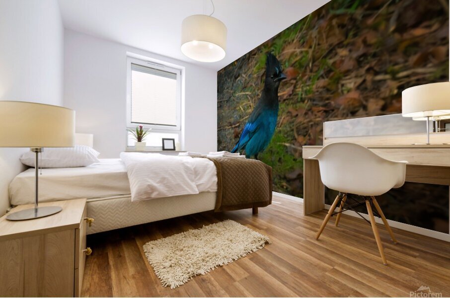 StellarJay Mural print
