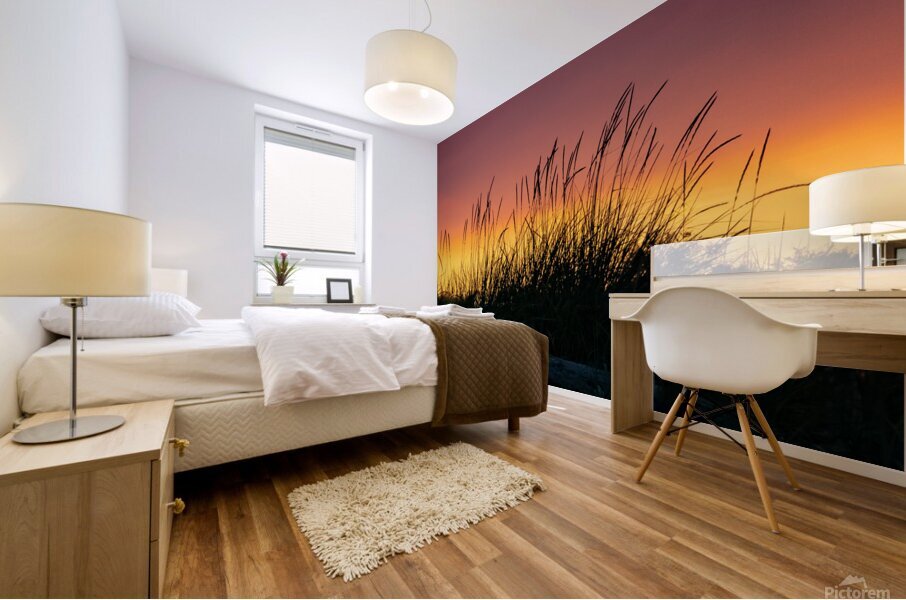 Beach Sunset Mural print
