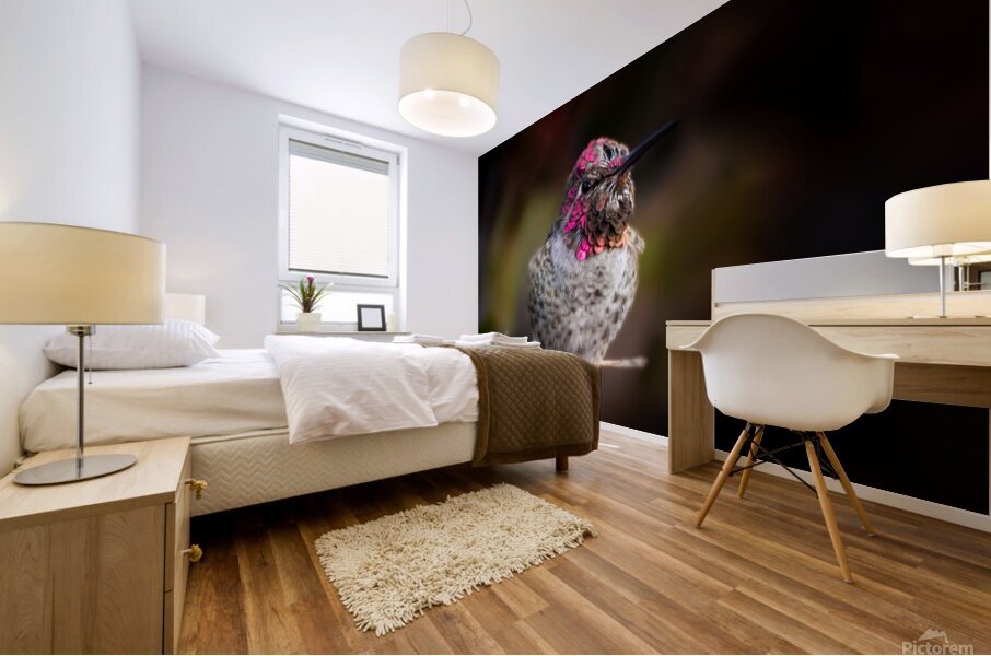 Hummingbird 2 Mural print