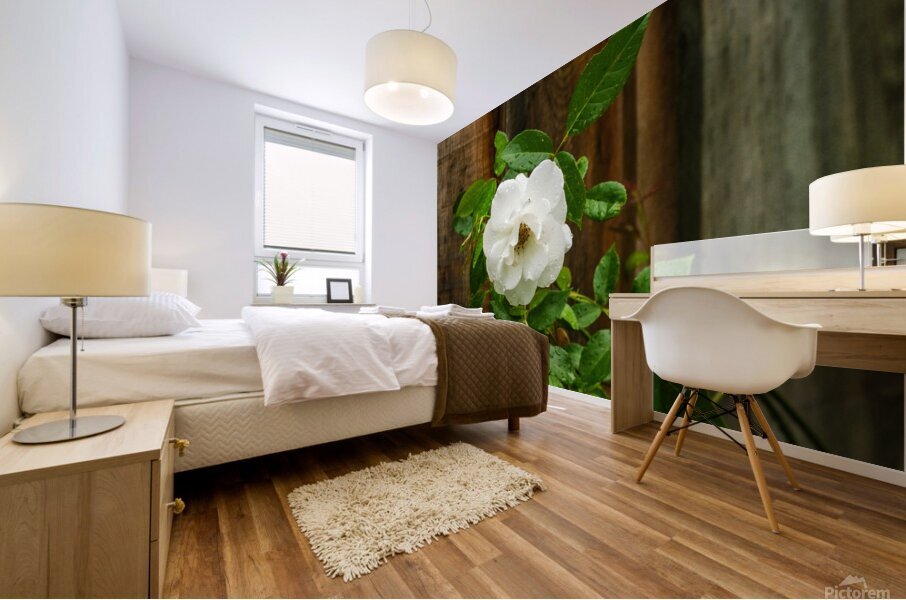 White Rose Mural print