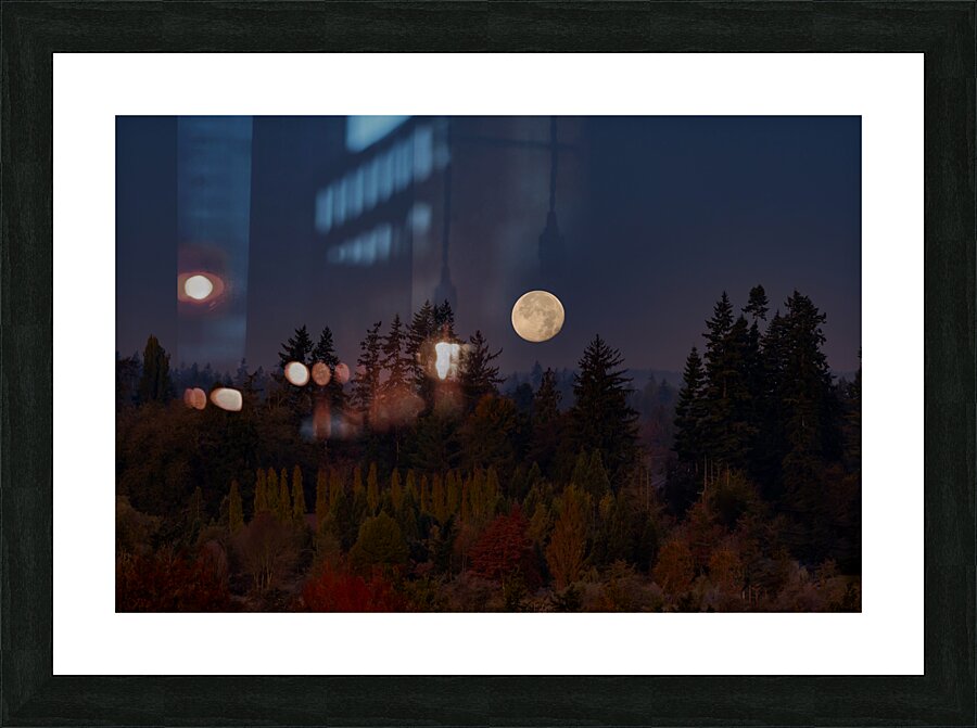 Forest Moon Picture Frame print