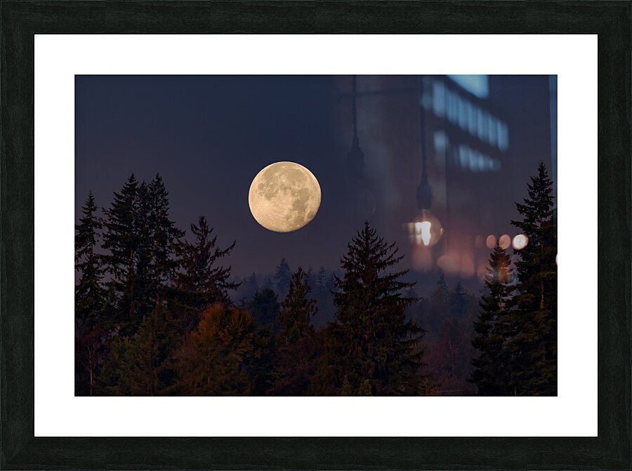 Forest Moon 2 Picture Frame print