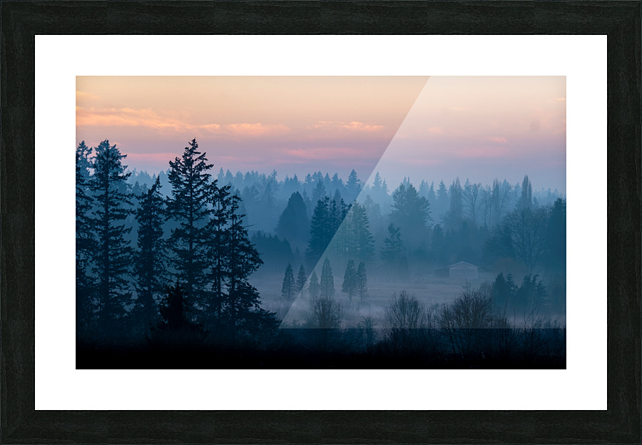 Misty Trees Picture Frame print