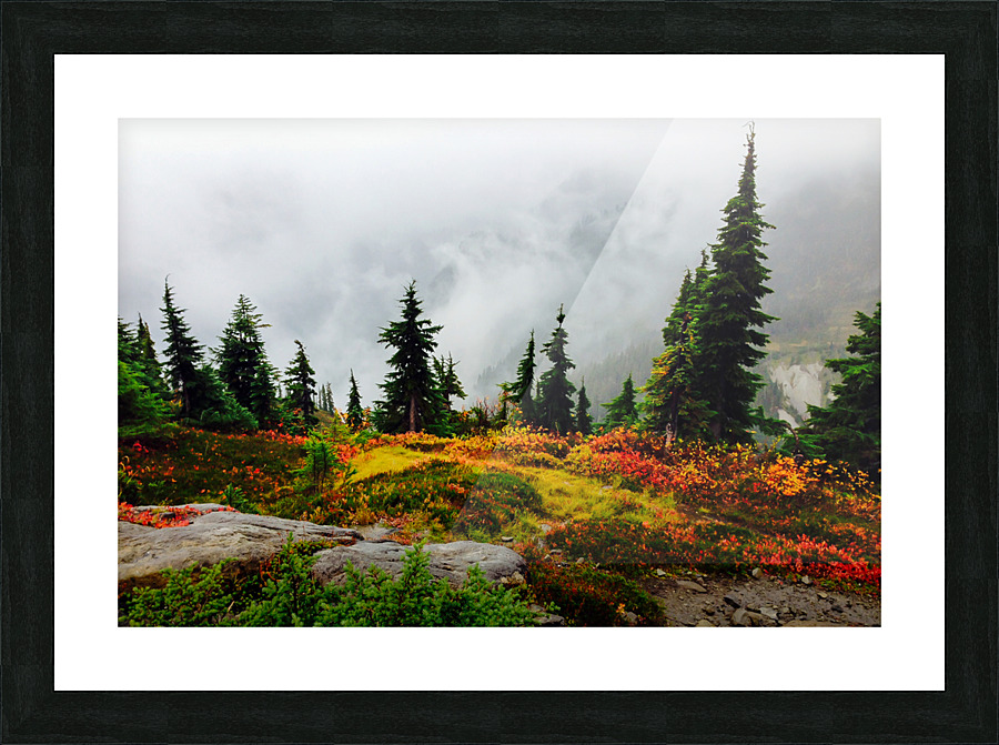 Misty Autumn Picture Frame print