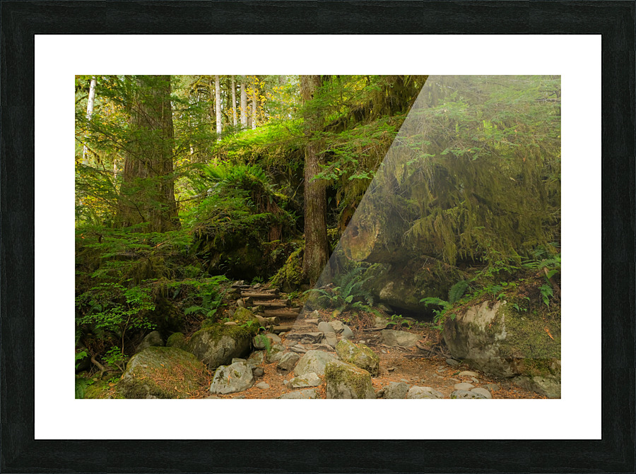 Riverbend Trail Picture Frame print