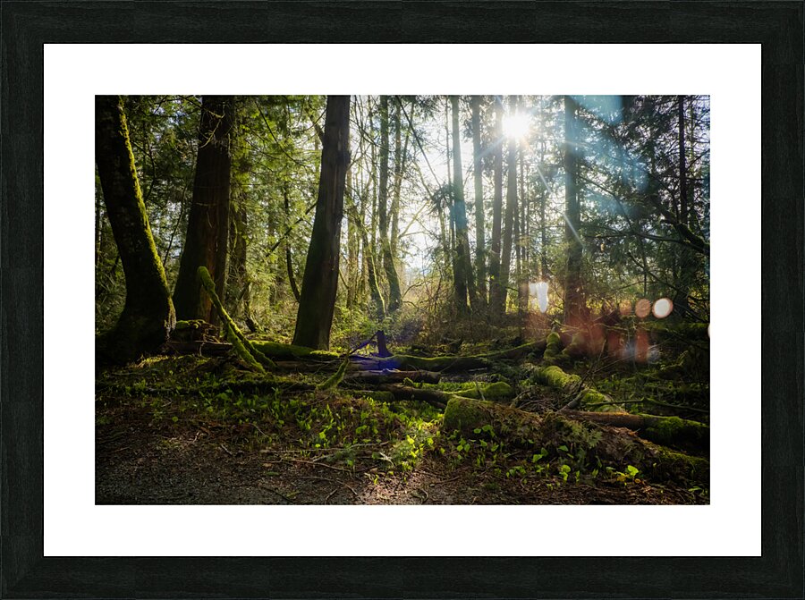Morning has Broken Picture Frame print