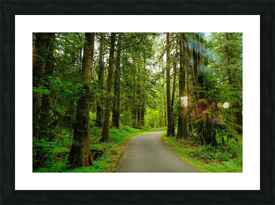 Spring Forest Picture Frame print