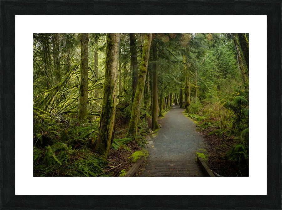 Tranquil Path Picture Frame print