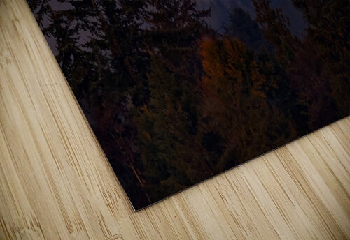 Forest Moon 2 Deb Friesen puzzle