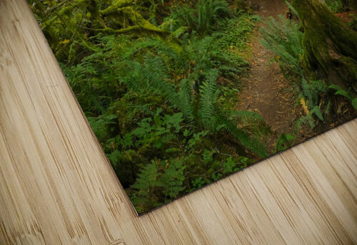 Forest Trail Deb Friesen puzzle