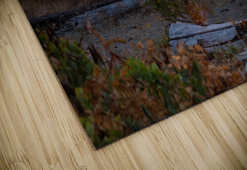 Boundry Bay Sunset Deb Friesen puzzle