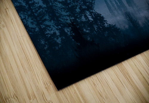 Misty Trees Deb Friesen puzzle
