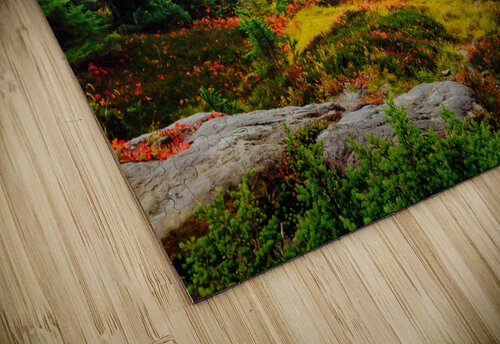 Misty Autumn Deb Friesen puzzle