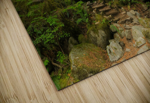Riverbend Trail Deb Friesen puzzle