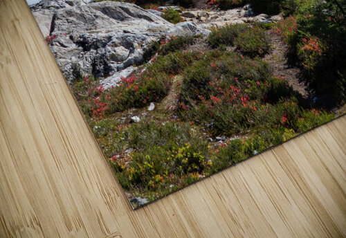Mt Shuksan Deb Friesen puzzle