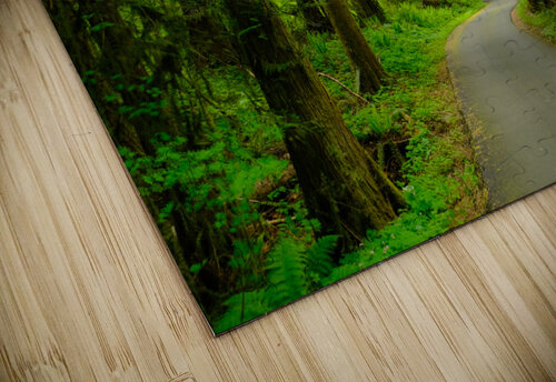 Spring Forest Deb Friesen puzzle