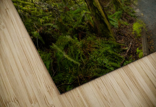 Tranquil Path Deb Friesen puzzle