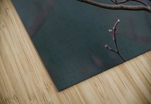 Chickadee 2 Deb Friesen puzzle