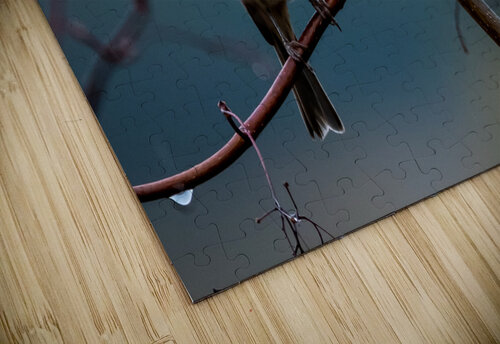 Winter Finch Deb Friesen puzzle