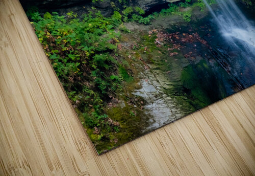 Waterfall Deb Friesen puzzle