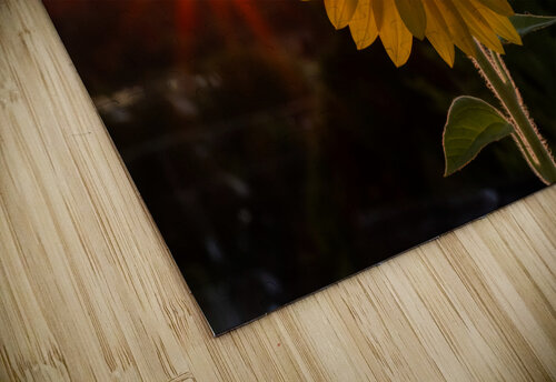 Sunflower Sunset Deb Friesen puzzle
