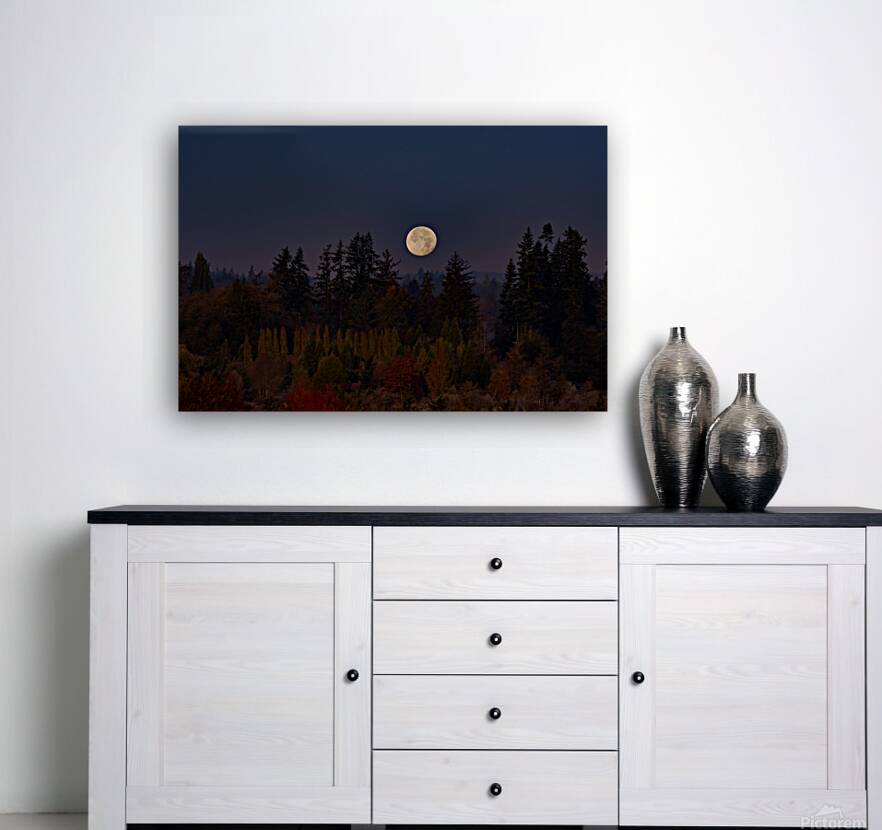 Forest Moon Reproduction
