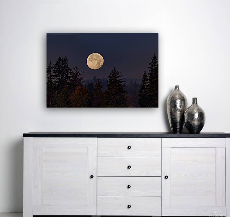 Forest Moon 2 Reproduction