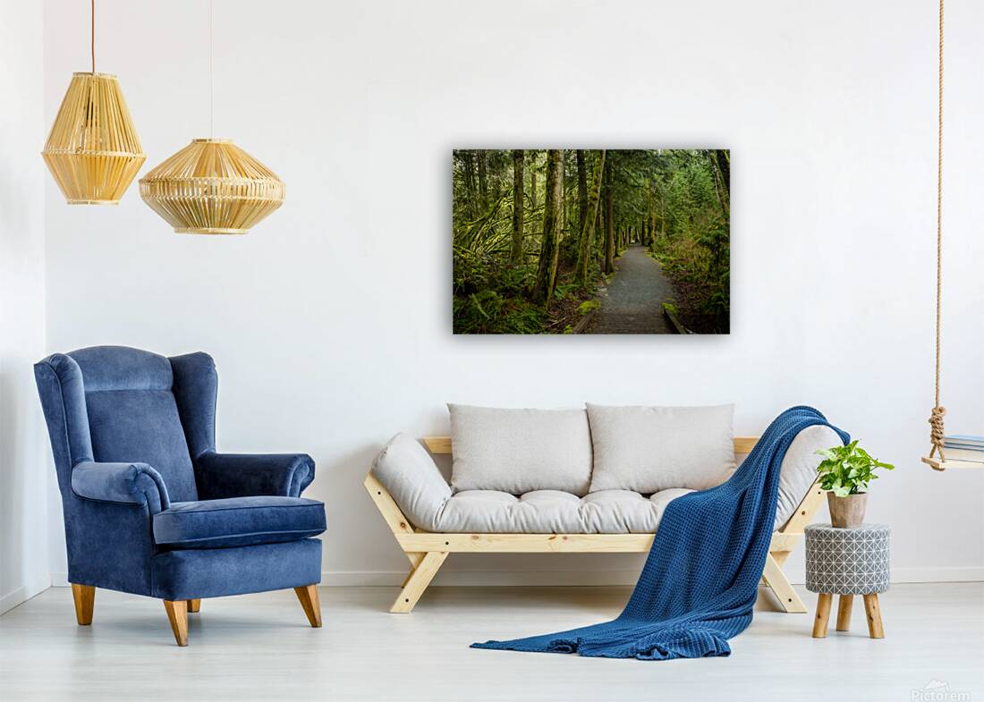 Tranquil Path Reproduction