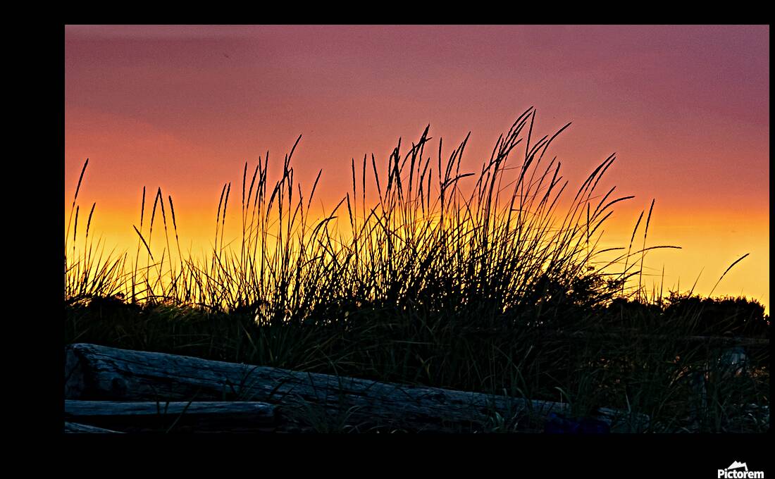Beach Sunset Reproduction