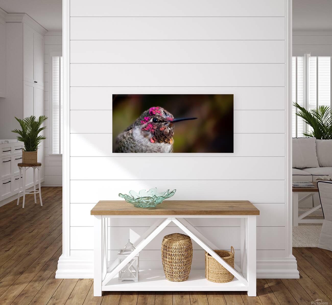 Hummingbird Reproduction