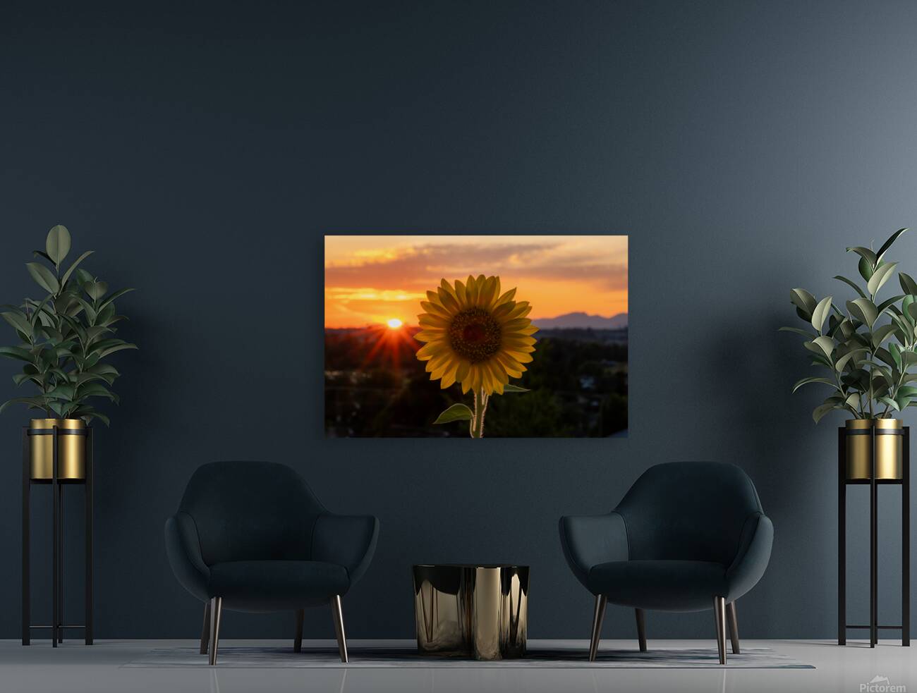 Sunflower Sunset Reproduction