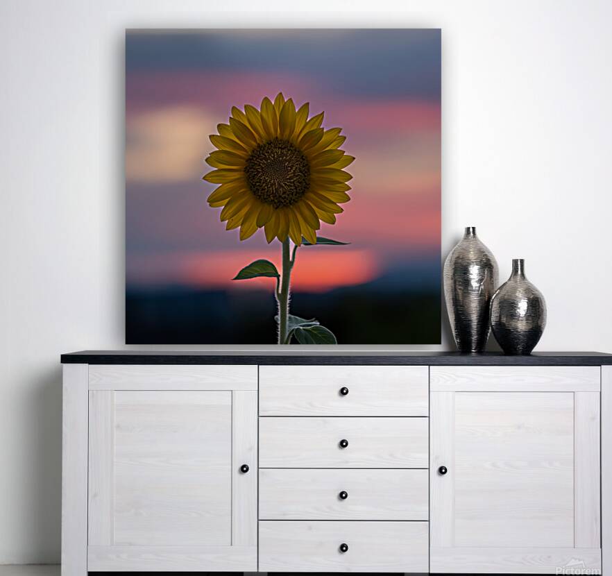 Sunflower Reproduction
