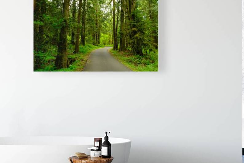 Spring Forest Reproduction