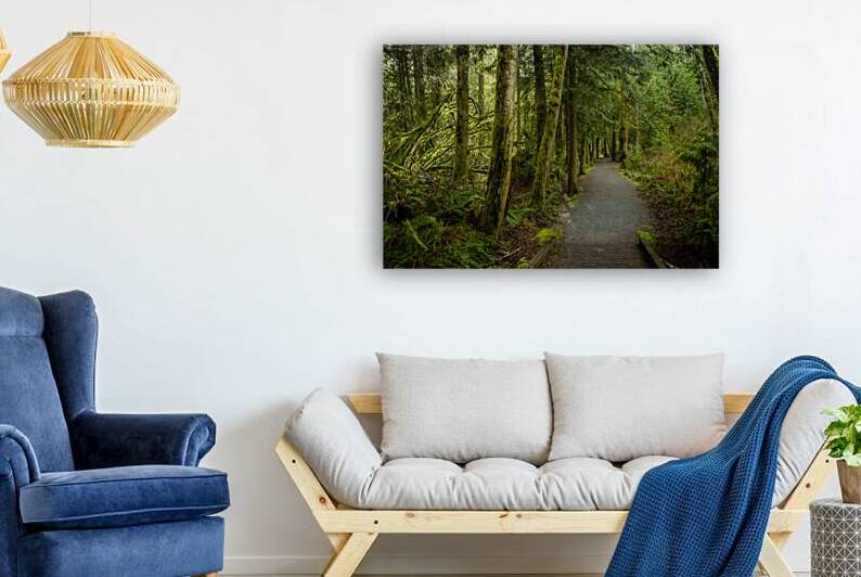 Tranquil Path Reproduction