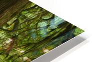 Forest Trail HD Metal print