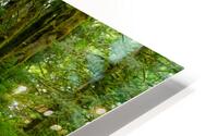 Spring Forest HD Metal print
