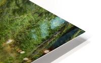 Tranquil Path HD Metal print