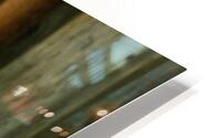 White Rose HD Metal print