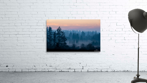 Misty Trees Wall Preview