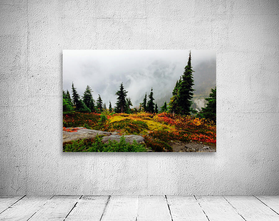 Misty Autumn Wall Preview
